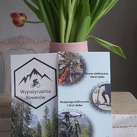Karkonoskie Chalé *
