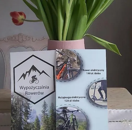 Karkonoskie Chalet *